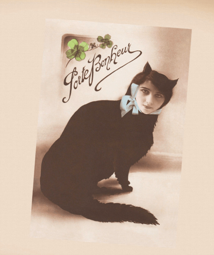 Screen shot 2018-02-04 at 10.12.44 PM